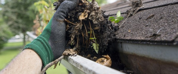 Prix d'un Nettoyage de Toiture en 2024